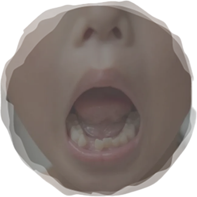 大きく口を開けている様子