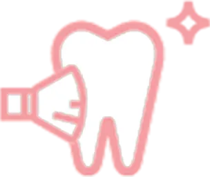 キレイになった歯